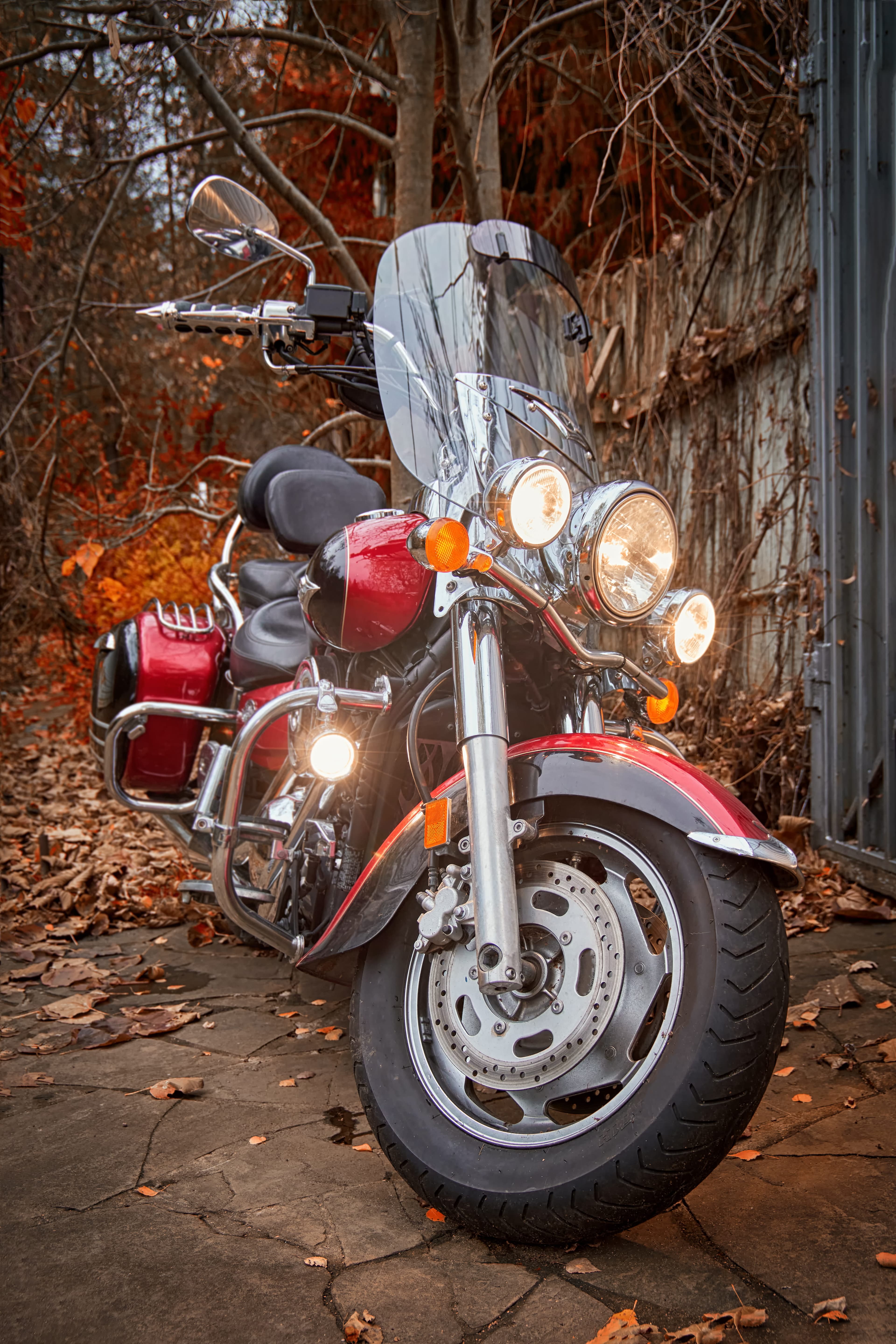 Vintage Bikes Collection